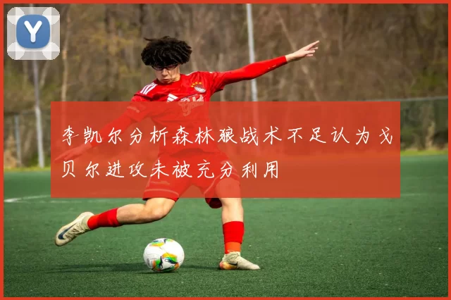 李凯尔分析森林狼战术不足认为戈贝尔进攻未被充分利用